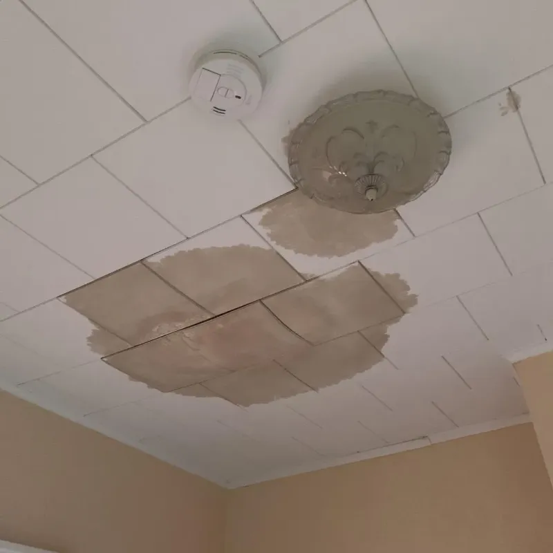 Ceiling Water Damage Repair in Lake Belvedere Estates, FL